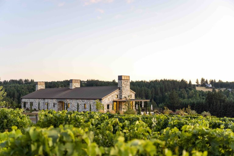 Alloro Vineyard 3 scaled 1 768x512