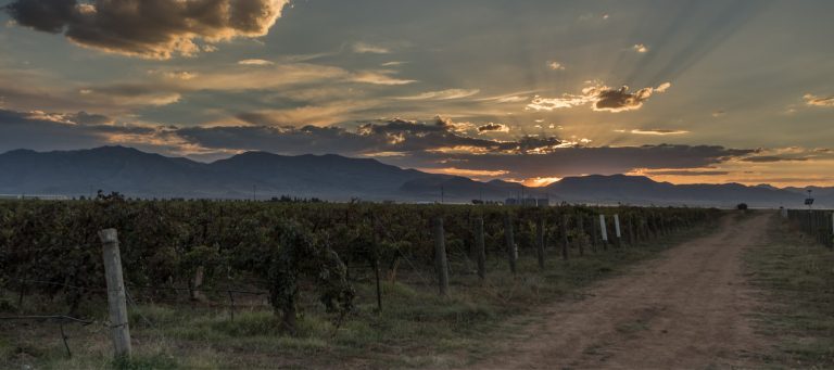 Arizona Stronghold Vineyards 1