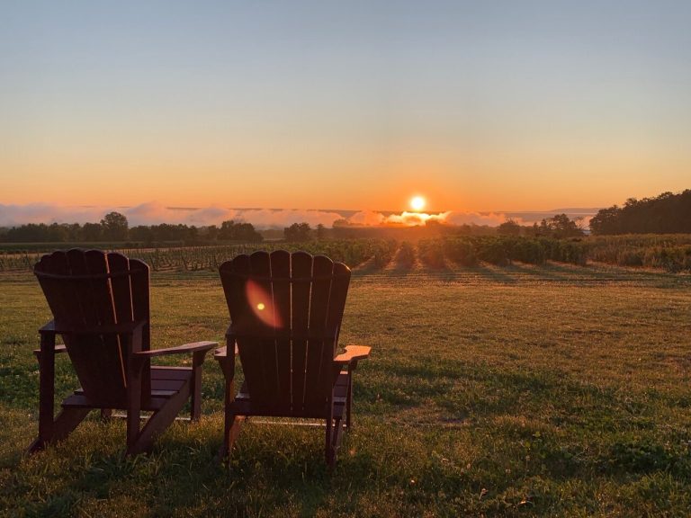 Bet the farmwinery1 1 768x576
