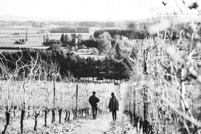 Cooper Mountain Vineyard  1 768x512