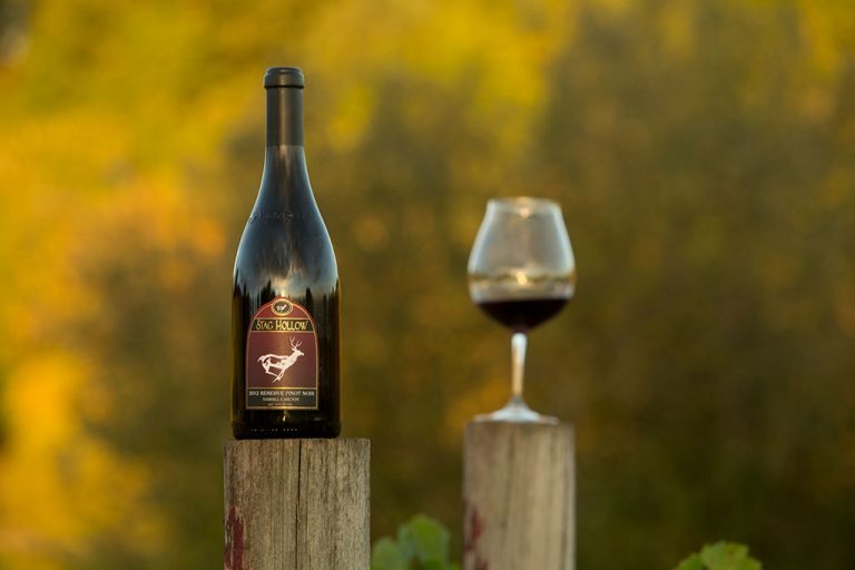 Stag Hollow Wines 1 1 768x512