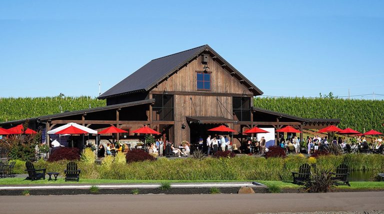Tumwater Vineyard 2 1 768x429