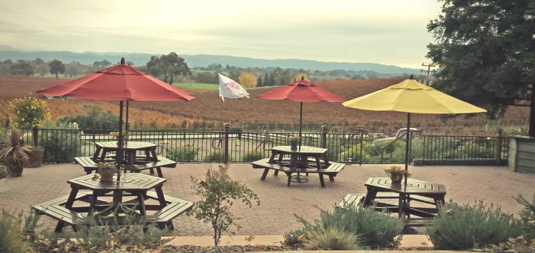 Windward Vineyard 1 1 768x364