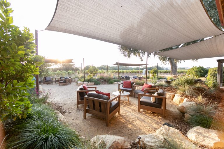 Zenaida Cellars 1 1 768x512