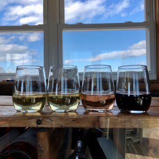 onewomenwines 1