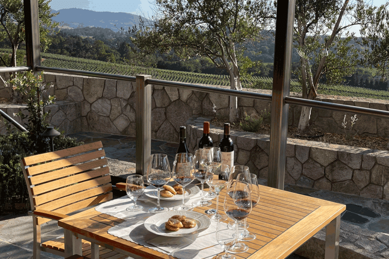 palmazvineyards2 1 768x512