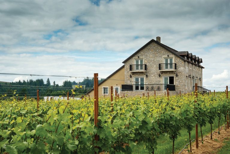 Bjornson Vineyard  1 768x513