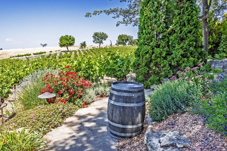 Paso Robles
