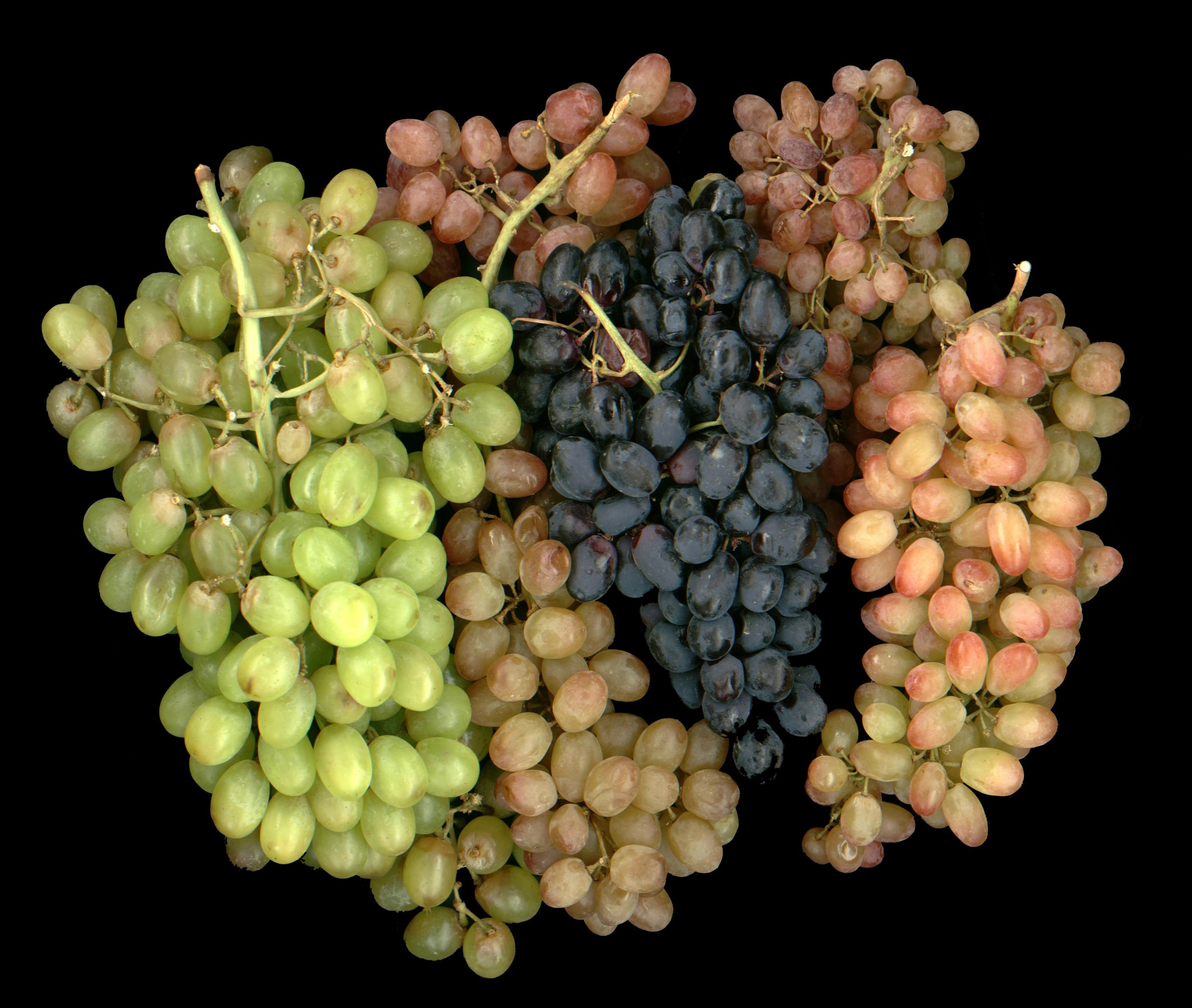 grape blend