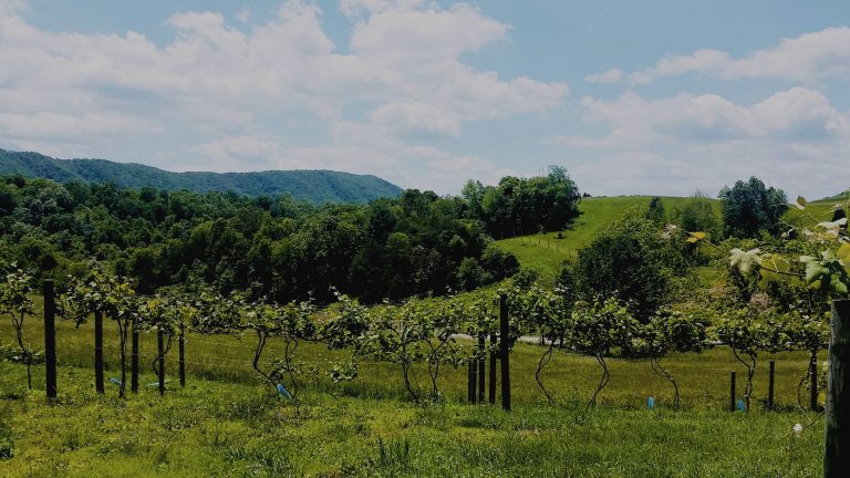 Beliveau Farm 1 768x432