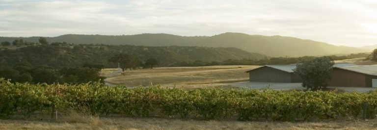 Caparone Winery 2 768x265