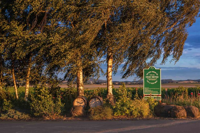 Coelho Winery 1 768x512