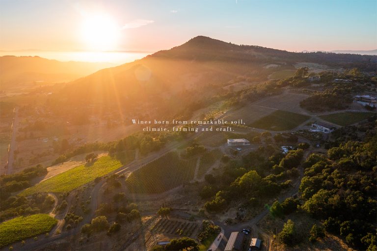Coursey Graves Winery 1 768x512