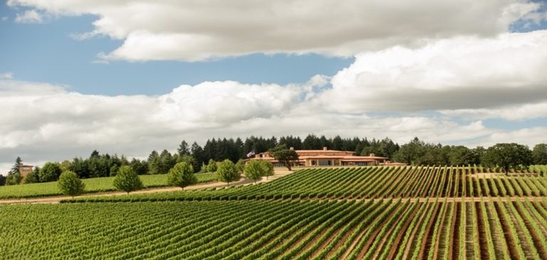 Domaine Serene 1 768x365