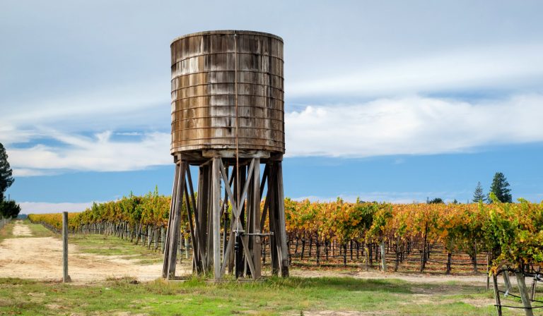 Emeritus Vineyards 2 768x448