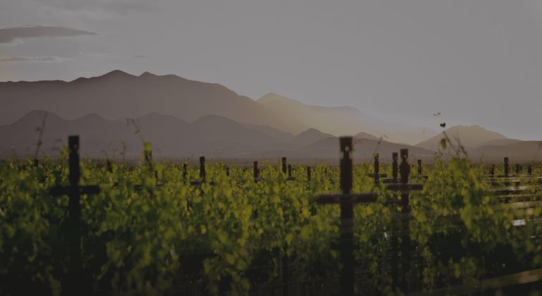 Flying Leap Vineyard   Distillery3 768x420