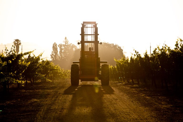 Foppiano Vineyards 768x512