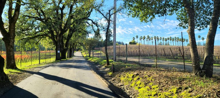 Iron Horse Vineyard 2 768x344