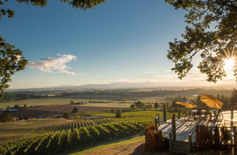 Keeler Estate Vineyard  768x503