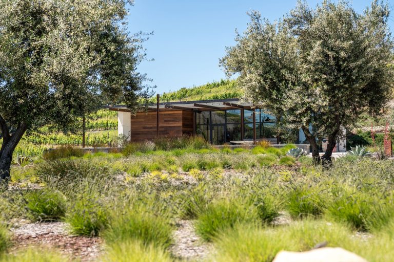 Laventure winery2  768x512