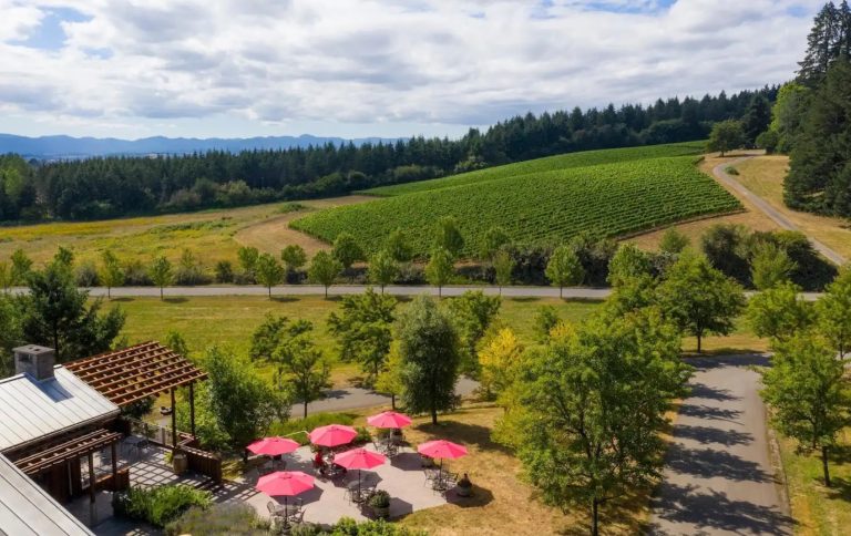 Lemelson Vineyards 2 768x484