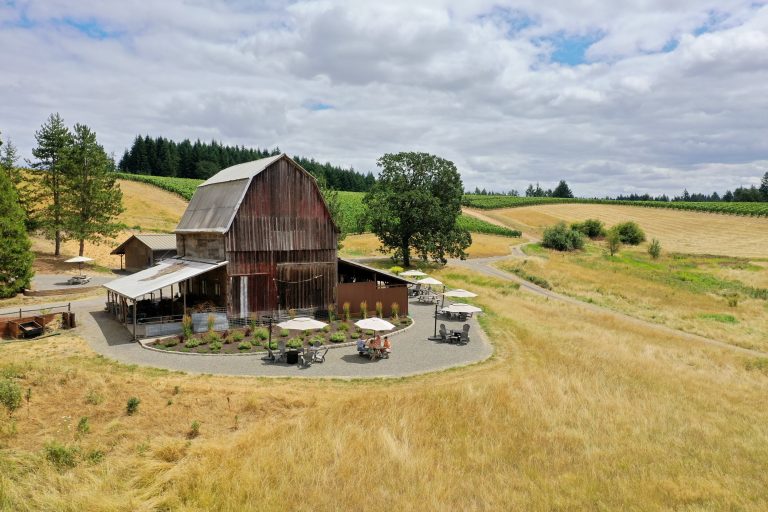 MonksGate Vineyard 1 768x512