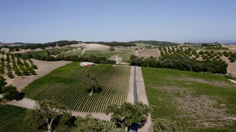 Opolo Vineyards 3 768x431