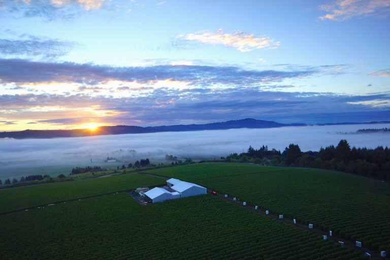 Patton Valley Vineyard  768x512