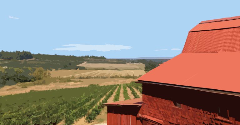 Rizzo WInery 2 768x400