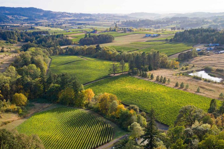 Roco Winery 3 768x512