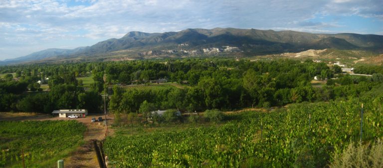 Salt Mine Wine scaled 1 768x337