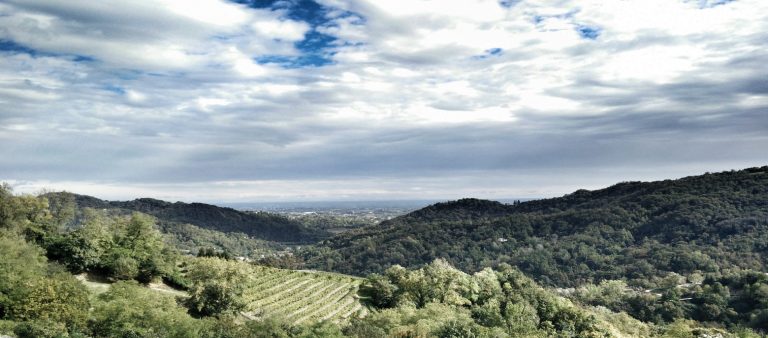 Selby Winery 2 768x338