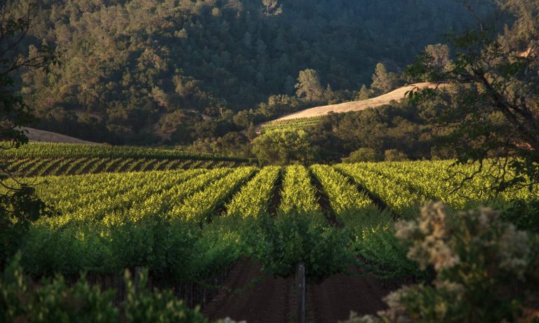 Soda Rock Winery 2 768x461