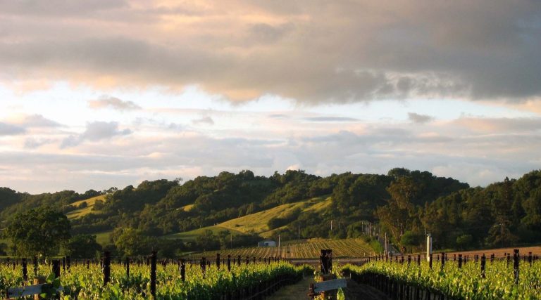 St Anne Crossing Winery 1 768x427