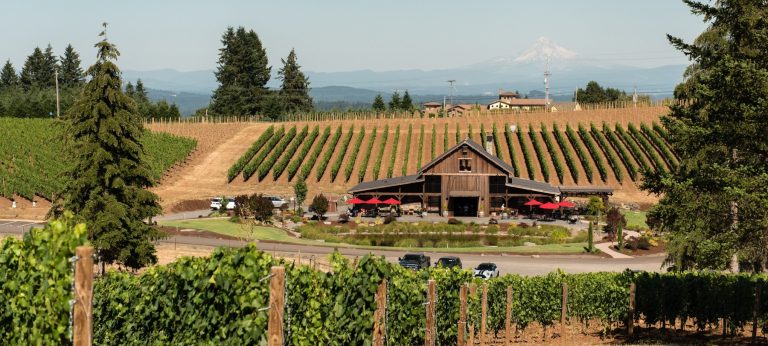 Tumwater Vineyard 1 768x346