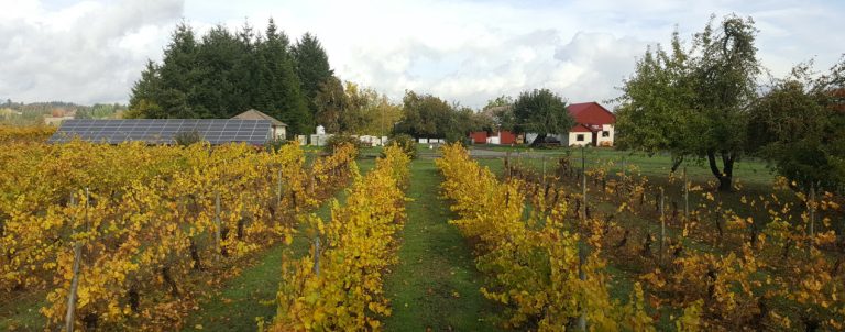 Tyee Wine Cellars 2 768x302