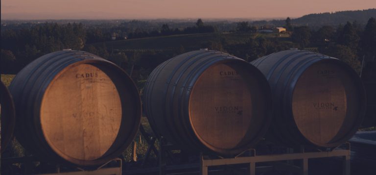 Vidon Vineyard 2 768x357
