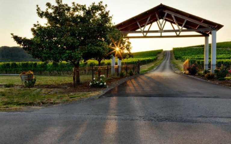 Yamhill Valley Vineyards 768x480
