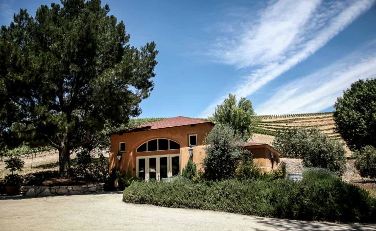 caliza Winery 1 768x472