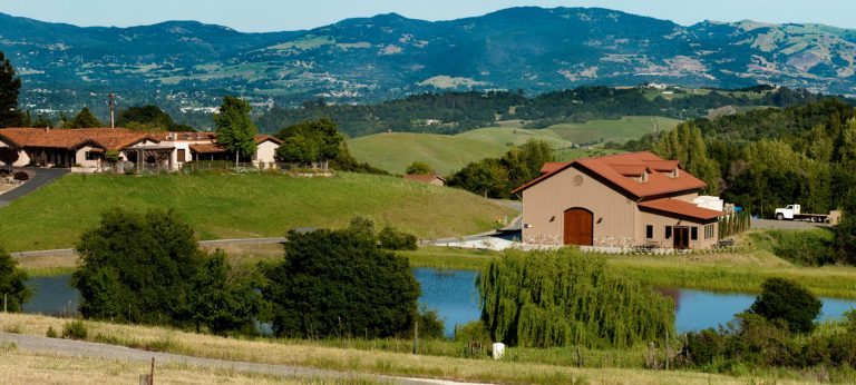 fontanella5 768x346