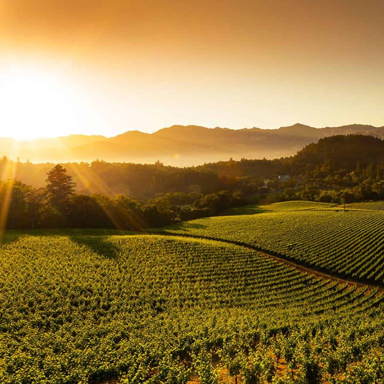 grgichhills1 768x768