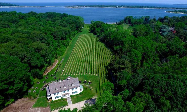 harmonyvineyards1 768x462