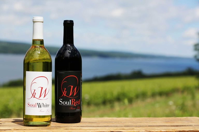 hectorwinecompany3 768x512
