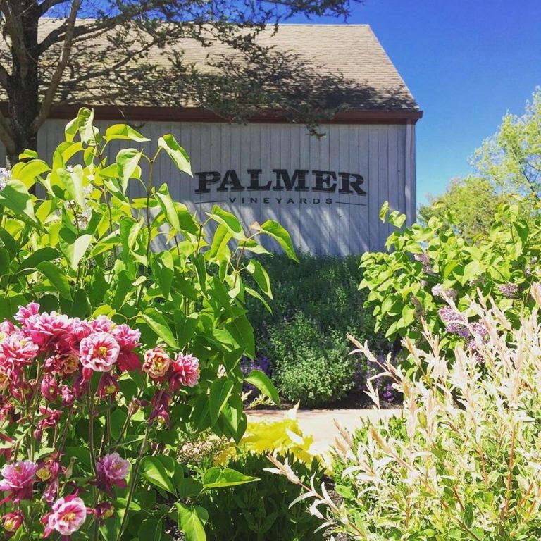 palmer4 768x768