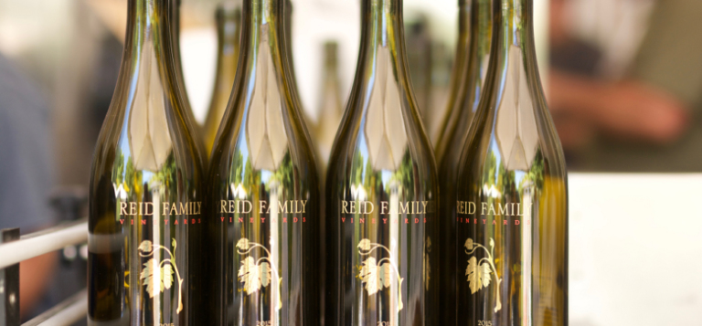 reidfamily4 768x357