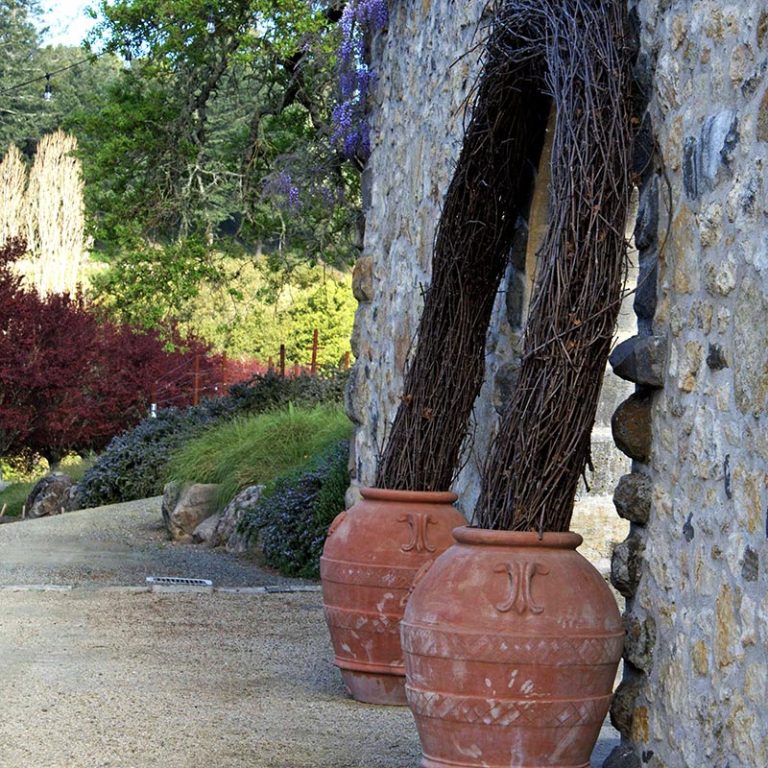 terraceswine2 768x768